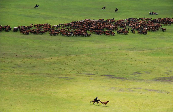 People dressed in festive costumes attend the opening ceremony of the Nadam Fair, the most important celebration for the Mongolian ethnic minority of China's Inner Mongolia Autonomous Region. The fair opened in the city of Hulun Buir on Tuesday, July 12. The one and half day fair will feature traditional Mongolian sporting competitions such as horse races, archery and wrestling. [Photo:CRIENGLISH.com] 