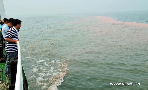 The red tide is seen in north China&apos;s Bohai Bai, July 15, 2011. The red tide has the length of about 2 sea miles and it locates near two oilfield platforms in Bohai Bay. The two oilfield platforms are estimated to have leaked 1,500 barrels of oil, or 240 cubic meters, following two oil spills last month, the operator ConocoPhillips said on Thursday