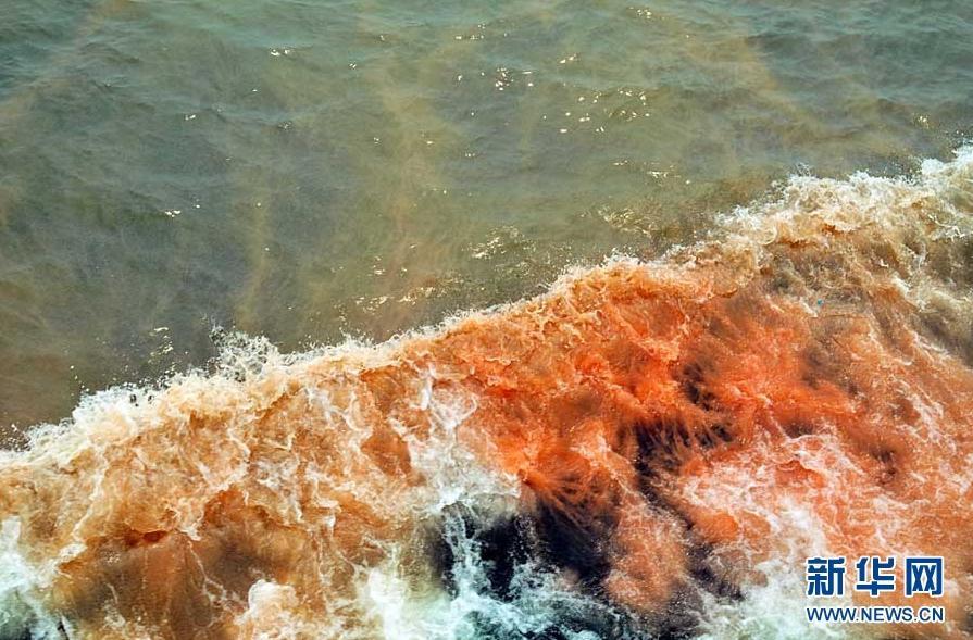 The red tide has the length of about 2 sea miles and it locates near two oilfield platforms in Bohai Bay. The two oilfield platforms are estimated to have leaked 1,500 barrels of oil, or 240 cubic meters, following two oil spills last month, the operator ConocoPhillips said on Thursday. [Xinhua]