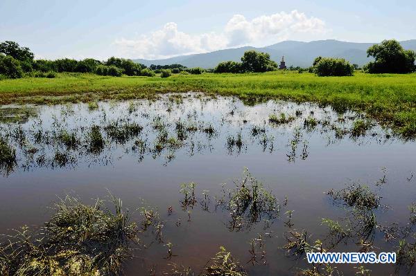 Photo taken on July 18, 2011 shows part of the wetlands on the Heixiazi Island near Fuyuan County, northeast China's Heilongjiang Province, July 18, 2011. [Xinhua/Wang Jianwei]