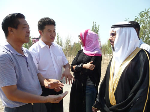 Ningxia hands with Saudi Arabia in desert control