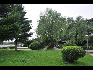 Moon Lake, also known as Yuehu, is located in the downtown district of Ningbo City. It is a great place for a picnic, stroll, or a paddle around the lake in one of the boats available for hire. [Photo by Cindy Chan]