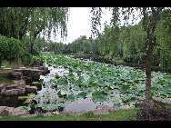 Moon Lake, also known as Yuehu, is located in the downtown district of Ningbo City. It is a great place for a picnic, stroll, or a paddle around the lake in one of the boats available for hire. [Photo by Cindy Chan]