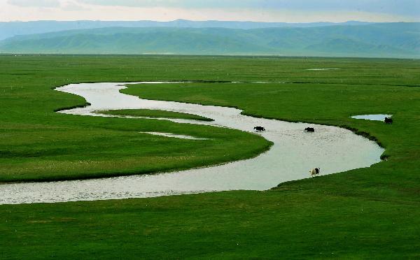 A river runs through a wetland in Gangcha County, northwest China's Qinghai Province, July 20, 2011. Tourist arrivals to Qinghai are picking up as the summer holiday season starts. (Xinhua/Wang Song)