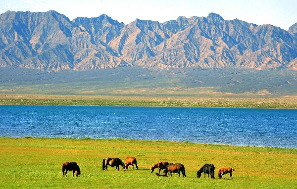 Horses feed along a lake in Haixi Prefecture, northwest China's Qinghai Province, July 21, 2011. Tourist arrivals to Qinghai are picking up as the summer holiday season starts. (Xinhua/Wang Song)