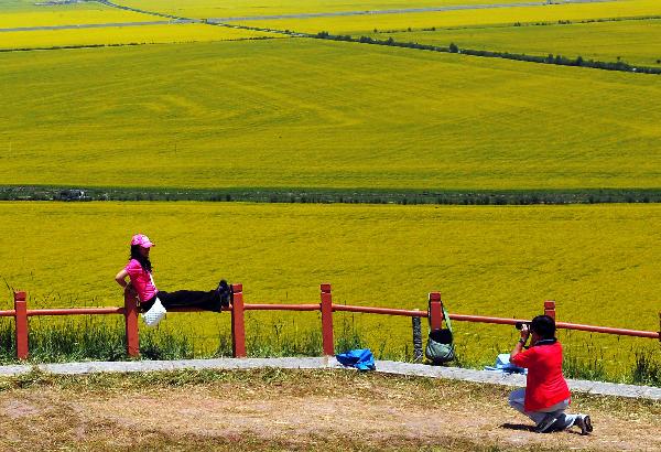 Tourists take photo against colza fields in Menyuan County, northwest China's Qinghai Province, July 21, 2011. Tourist arrivals to Qinghai are picking up as the summer holiday season starts. (Xinhua/Wang Song)