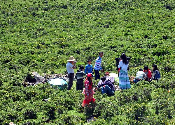 Tourists have food on a hillside in Menyuan County, northwest China's Qinghai Province, July 21, 2011. Tourist arrivals to Qinghai are picking up as the summer holiday season starts. (Xinhua/Wang Song)