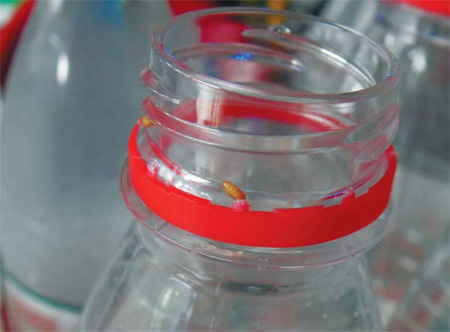 Highlighted circles show some of the eggs found on bottles of Nongfu Spring water. [China Daily]