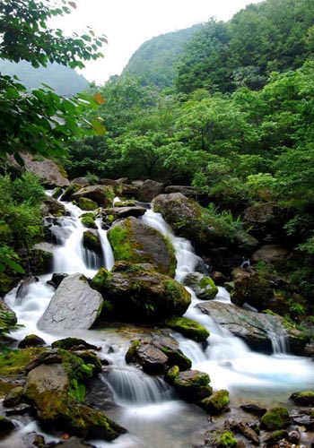 Shennongjia Nature Reserve, one of the 'Top 8 August destinations in China' by China.org.cn.