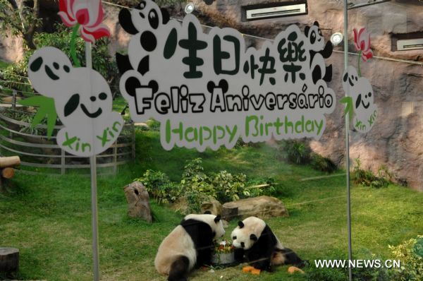 Gaint panda Xinxin (R) enjoys a &apos;birthday cake&apos; together with another panda Kaikai in Macao, south China, July 26, 2011. Xinxin spent the 3-year-old birthday here Tuesday.(Xinhua/Cheong Kam Ka) (ly) 