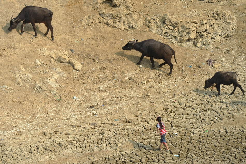 A girl walks on a drought water reservoir in Qianxi County, southwest China&apos;s Guizhou Province, July 28, 2011. Serious drought hit Guizhou in July. [Xinhua] 