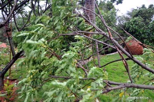 Nock-Ten, the eighth tropical storm and the most powerful one to hit China this year, has made landfall over the southern island province of Hainan.