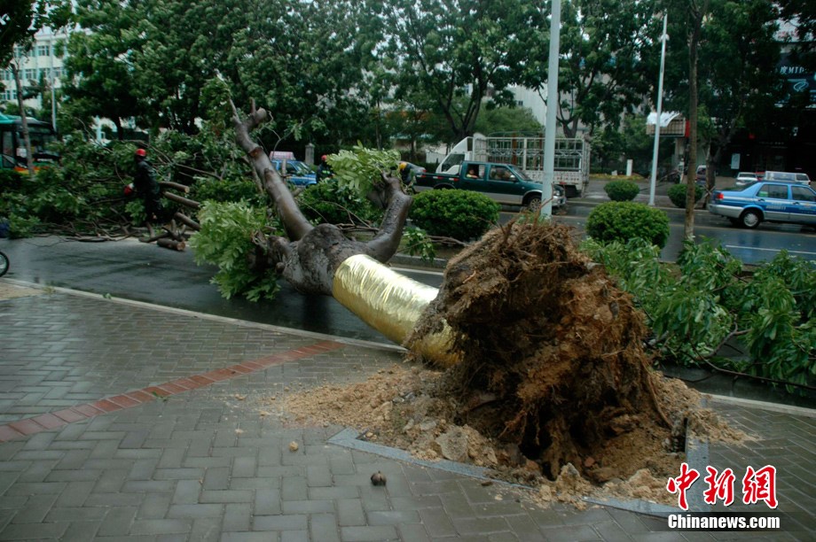 Tropical storm Nock-Ten sweeps accross Hainan