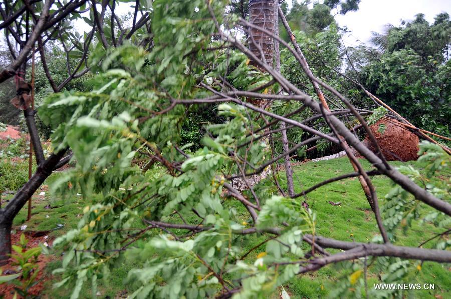 Tropical storm Nock-Ten lashes Hainan