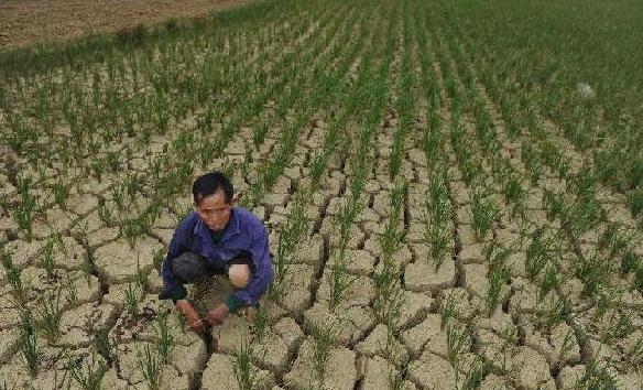 Severe drought hits SW China