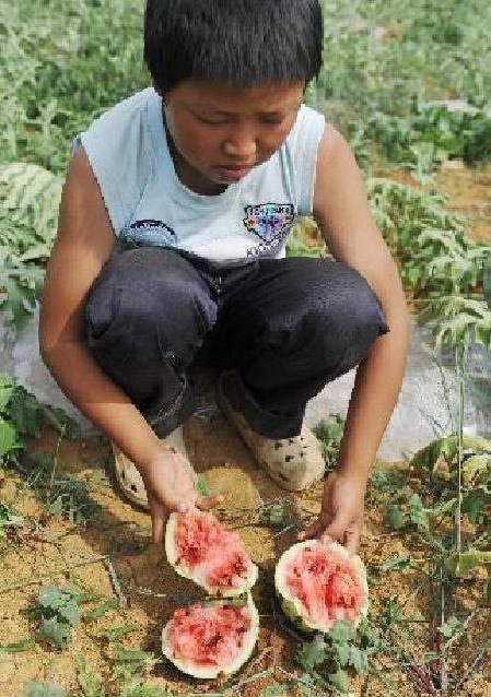 Severe drought hits SW China