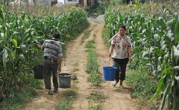 Severe drought hits SW China