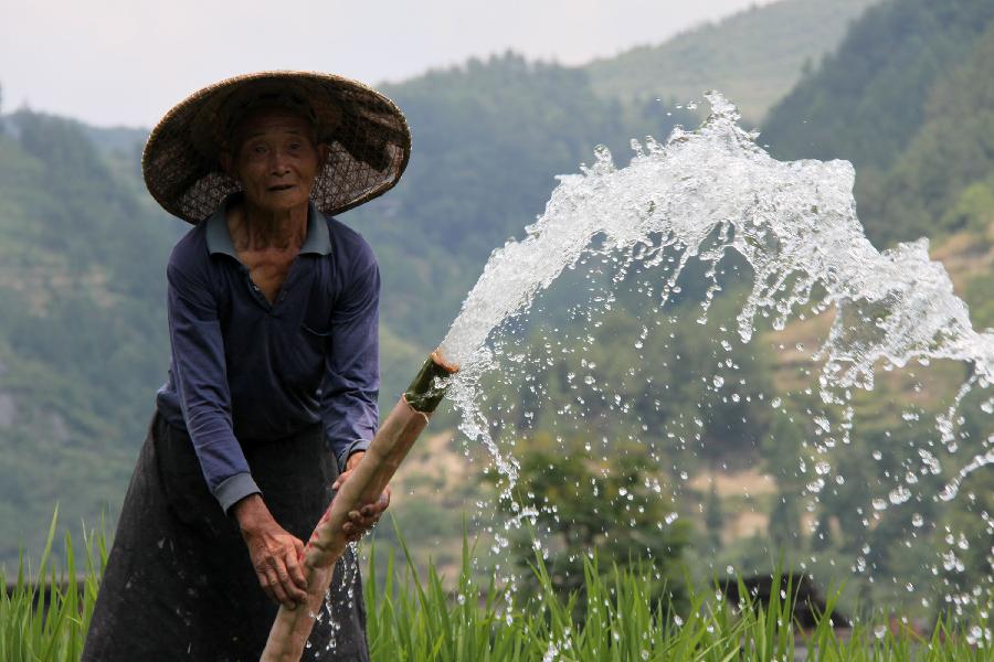 Guizhou affected by severe drought