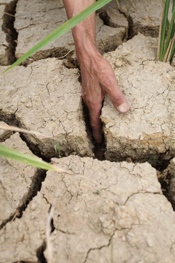 Guizhou affected by severe drought