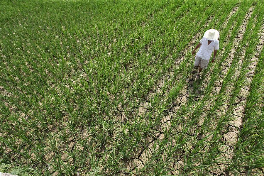 Guizhou affected by severe drought