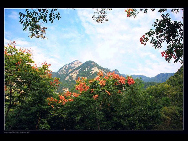 Cuihua Mountain National Geopark, located some 20 kilometers away from Xi'an, is park of the Qin Mountain Range. Formed of an array of metamorphic rocks from the Middle Geological Epoch, it is said that this mountain was raised because of an earthquake in the three valleys in mid-Shaanxi in the second year of King You of Western Zhou's reign.[西部老马/bbs.fengniao]