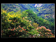 Cuihua Mountain National Geopark, located some 20 kilometers away from Xi'an, is park of the Qin Mountain Range. Formed of an array of metamorphic rocks from the Middle Geological Epoch, it is said that this mountain was raised because of an earthquake in the three valleys in mid-Shaanxi in the second year of King You of Western Zhou's reign.[西部老马/bbs.fengniao]