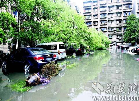 Rainstorms have pounded the city of Yichang, Hubei Province, over the past two days.