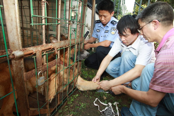 Veterinarians euthanize a dog -- one of a pair that killed a man and injured another during an attack at the New North Zone of Southwest China's Chongqing municipality, August 2, 2011.