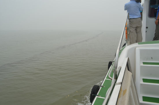 Tianjin has reported fresh oil belts in seawater on August 4, 2011. [Tianjin Oceanic Administration]