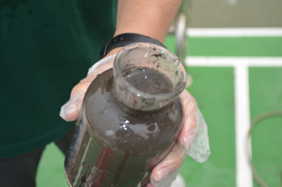 The samples of oil belts in seawater of Tianjin. [Tianjin Oceanic Administration]