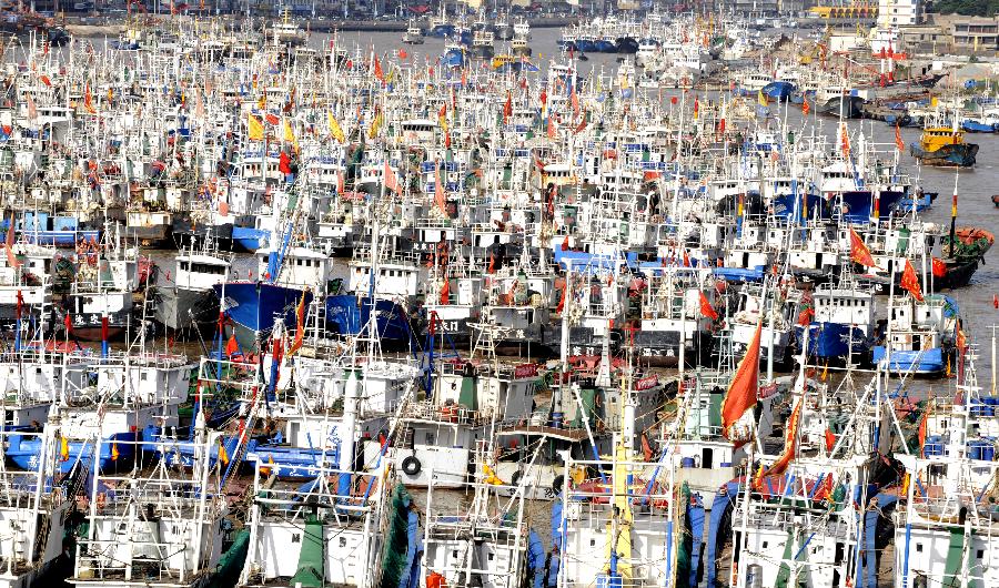 Fishing boats are anchored in the harbor to shelter from Typhoon Muifa in Taizhou, east China&apos;s Zhejiang Province, Aug. 4, 2011. Typhoon Muifa will very likely make landfall in the eastern part of the province Saturday night and cause significant damage. Warnings have also been issued to fishing boats in the area. [Xinhua]