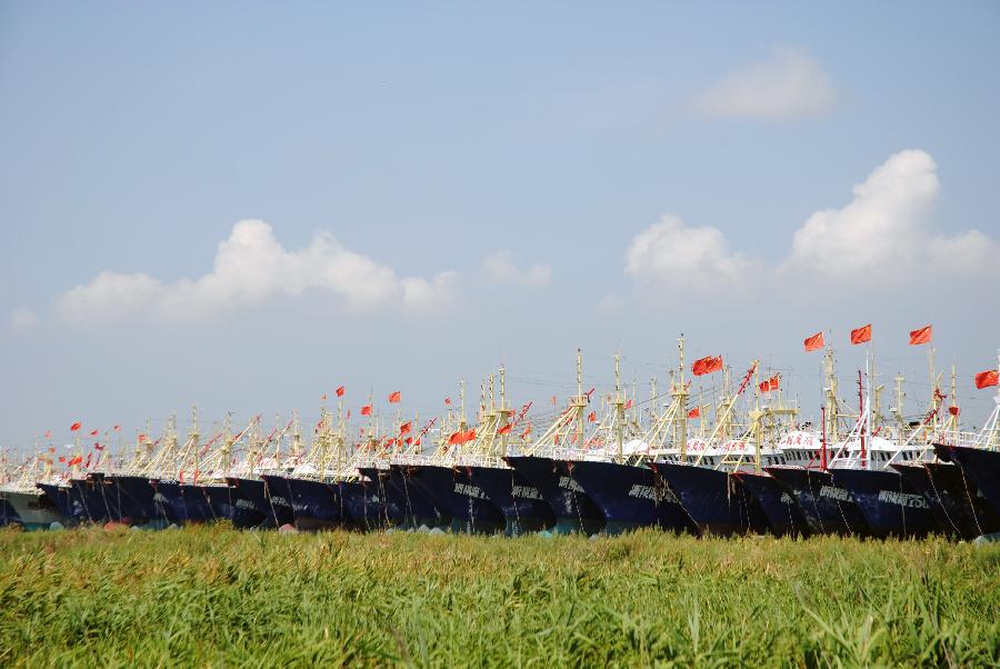 Fishing boats are anchored in the harbor to shelter from Typhoon Muifa in Taizhou, east China&apos;s Zhejiang Province, Aug. 4, 2011. Typhoon Muifa will very likely make landfall in the eastern part of the province Saturday night and cause significant damage. Warnings have also been issued to fishing boats in the area. [Xinhua]