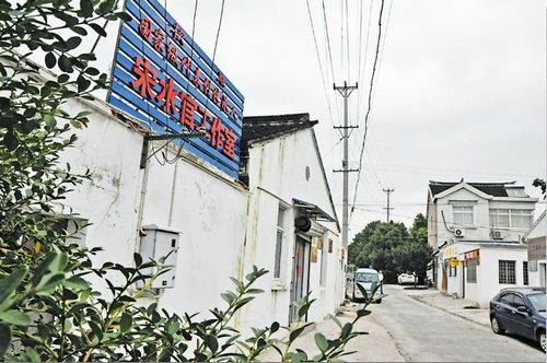 Zhoushan village has made bumper profits from carving crafts.
