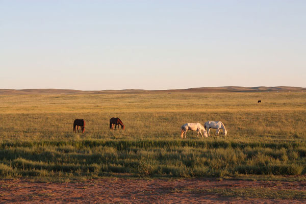 The Ulanqab Prairie borders Hohhot, the capital city of China's Inner Mongolia Autonomous Region to the west. It is home to Asia's largest wind power plant and vast expanses of grass.