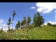 Aer Mountain is known all over the world with its 48-mouthed mineral spring group. The name means 'hot magic spring.' It not only enjoys great fame among the 500 geothermic mineral spring groups already developed in China, but it is also famous in the world. [北岳雄风/bbs.fengniao]