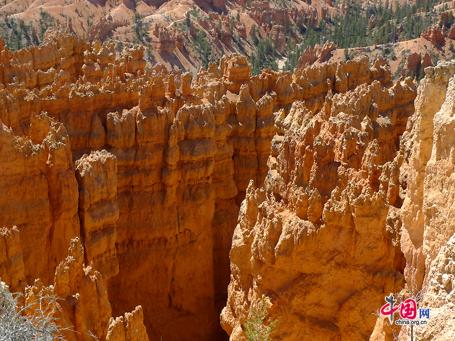 Located in southwestern Utah in the US, Bryce Canyon National Park is not a canyon but a giant natural amphitheater created by erosion along the eastern side of the Paunsaugunt Plateau. It is distinctive for its geological structures called hoodoos, formed by wind, water, and ice erosion of the river and lake bed sedimentary rocks.[Photo by Xu Lin / China.org.cn]