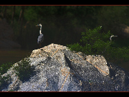Located in Miyun, Beijing, Baihe River Valley is one of the most developed rock-climbing areas near Beijing, with as many as 45 established sport and traditional routes. The main climbing area is adjacent to a sandy beach near the river, which makes it a perfect place for camping. [shiningfd/bbs.fengniao]
