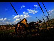 Laoniuwan Valley is considered one of the most beautiful valleys in China because it is the place where China's two greatest symbols – the Great Wall and the Yellow River - meet. At certain vantage points, people can see the wall reflected on the Yellow River's surface. The local cave houses are also worth visiting.[hquguorui/bbs.fengniao]
