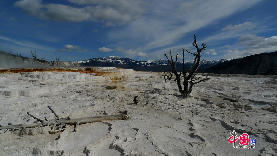 Mammoth Hot Springs is a large complex of hot springs on a hill of travertine in Yellowstone National Park, Wyoming, US. It was created over thousands of years as hot water from the spring cooled and deposited calcium carbonate. Although these springs lie outside the caldera boundary, their energy has been attributed to the same magmatic system that fuels other Yellowstone geothermal areas. [Photo by Xu Lin / China.org.cn] 