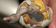 Top 13 most disgusting delicacies in the world