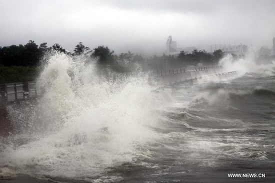 Photo taken on Aug. 8, 2011 shows the big waves in the sea near Weihai City, east China's Shandong Province. More than 360,000 people were evacuated in Shandong Province on Monday as tropical storm Muifa continues to move along the country's eastern coast.