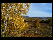 Located within the Kanas Lake scenic area in the north of Xinjiang, Hemu, one of the six most beautiful villages in China, is a rather primitive village. Here, visitors can enjoy the snow mountain, icy lake, grassland and primitive Tuwa minority village whom lived there thousand years.[捌仟里路/bbs.fengniao]