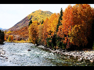 Located within the Kanas Lake scenic area in the north of Xinjiang, Hemu, one of the six most beautiful villages in China, is a rather primitive village. Here, visitors can enjoy the snow mountain, icy lake, grassland and primitive Tuwa minority village whom lived there thousand years.[捌仟里路/bbs.fengniao]