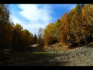 Located within the Kanas Lake scenic area in the north of Xinjiang, Hemu, one of the six most beautiful villages in China, is a rather primitive village. Here, visitors can enjoy the snow mountain, icy lake, grassland and primitive Tuwa minority village whom lived there thousand years.[捌仟里路/bbs.fengniao]