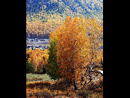 Located within the Kanas Lake scenic area in the north of Xinjiang, Hemu, one of the six most beautiful villages in China, is a rather primitive village. Here, visitors can enjoy the snow mountain, icy lake, grassland and primitive Tuwa minority village whom lived there thousand years.[捌仟里路/bbs.fengniao]