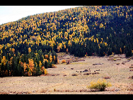 Located within the Kanas Lake scenic area in the north of Xinjiang, Hemu, one of the six most beautiful villages in China, is a rather primitive village. Here, visitors can enjoy the snow mountain, icy lake, grassland and primitive Tuwa minority village whom lived there thousand years.[捌仟里路/bbs.fengniao]