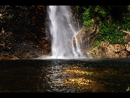 Located in Luoping county in Yunnan Province, the Jiulong (nine dragon) Waterfall is composed of 10-tier waterfalls compactly grouped in a valley. They have different shapes which appears magnificent and beautiful. The biggest waterfall is with a drop of 56 meters and 110 meter in width. [唱响/bbs.fengniao]
