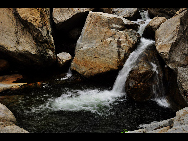 Located in Luoping county in Yunnan Province, the Jiulong (nine dragon) Waterfall is composed of 10-tier waterfalls compactly grouped in a valley. They have different shapes which appears magnificent and beautiful. The biggest waterfall is with a drop of 56 meters and 110 meter in width. [唱响/bbs.fengniao]