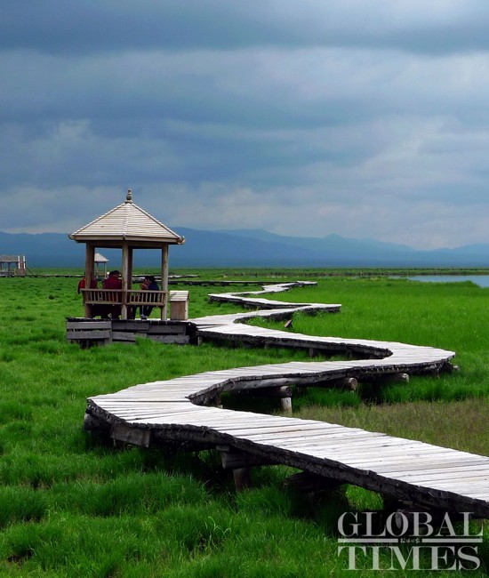 The serpentine path and gazebo at Flower Lake, Ruoer-gai Grassland, Gansu Province, China. Photo: Xu Jingyi/GT 