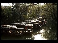 Located 30 kilometers east of Huzhou, Zhejiang Province, Nanxun Ancient Town is a famous historical and cultural town with a history of 1400 years. Due to the development of silk market and silk industry, it has become an important commercial town in Zhejiang Province. In poems, it is described as 'thousands of households gather here on this water town market, and fishing boats and merchant vessels call at it side by side.' [执着的影友/bbs.fengniao]